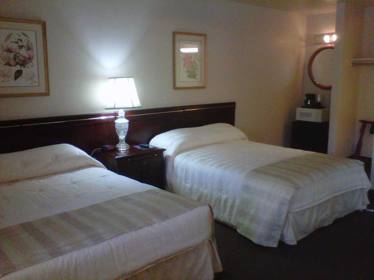 Popular attractions Area Nearby Property